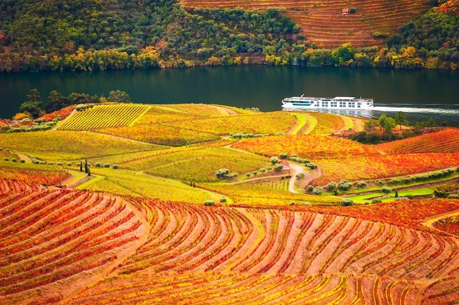 Porto and Douro Valley Tour